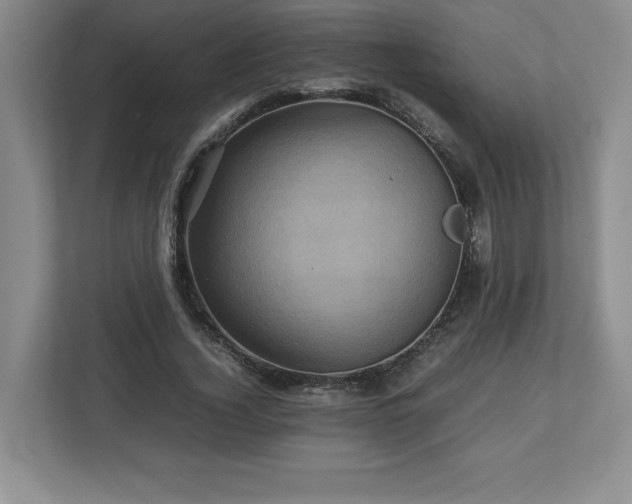 X0000113070732200909041057