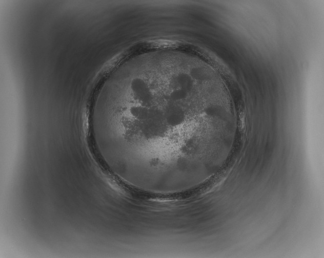 X0000113070733200909041057