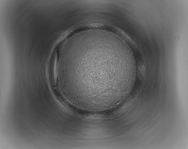 X0000113070734200909041057