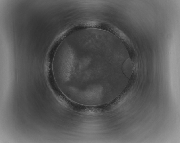 X0000113070736200909041057