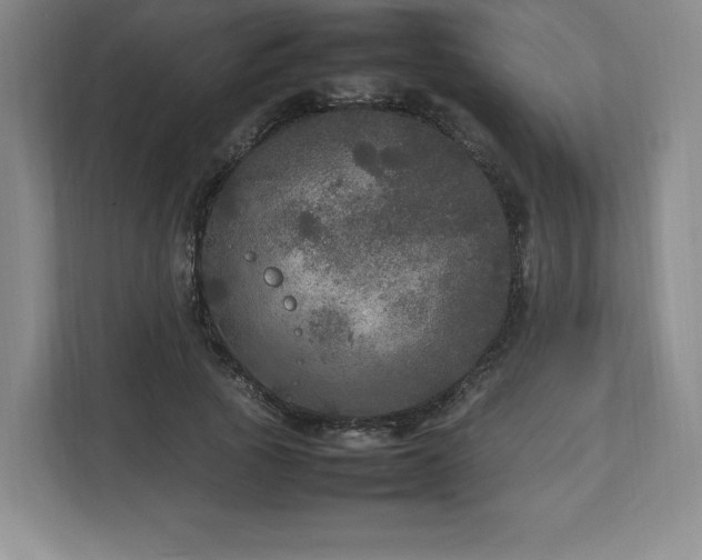 X0000113070737200909041057