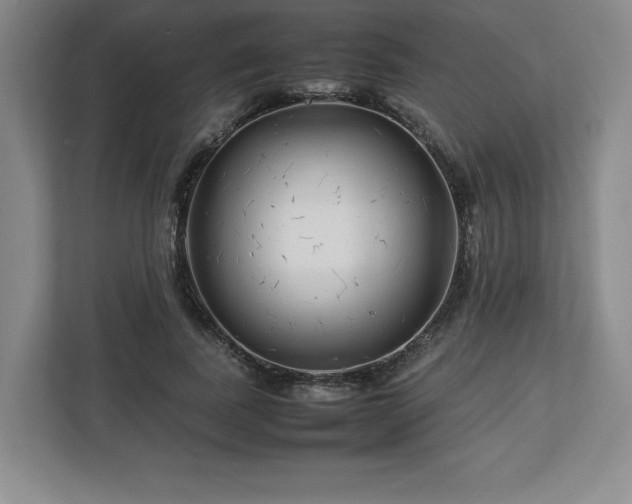 X0000113070739200909041057