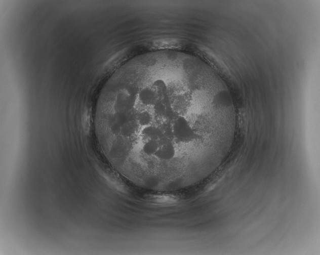 X0000113070741200909041057