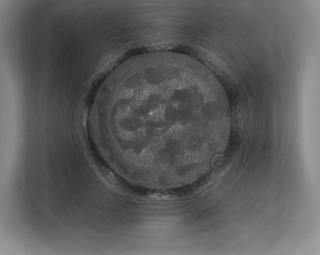 X0000113070742200909041057