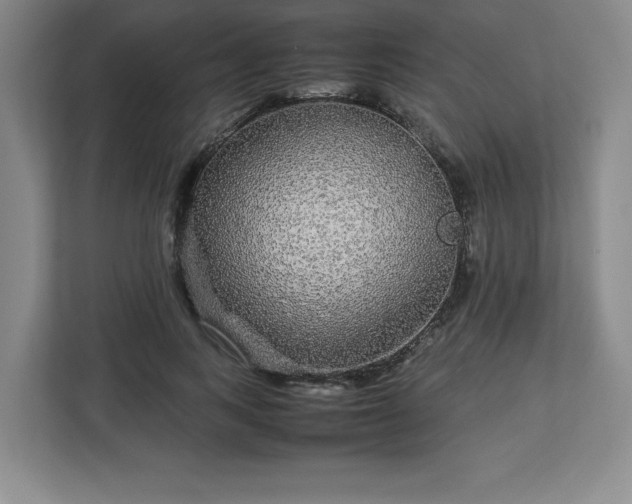 X0000113070743200909041057