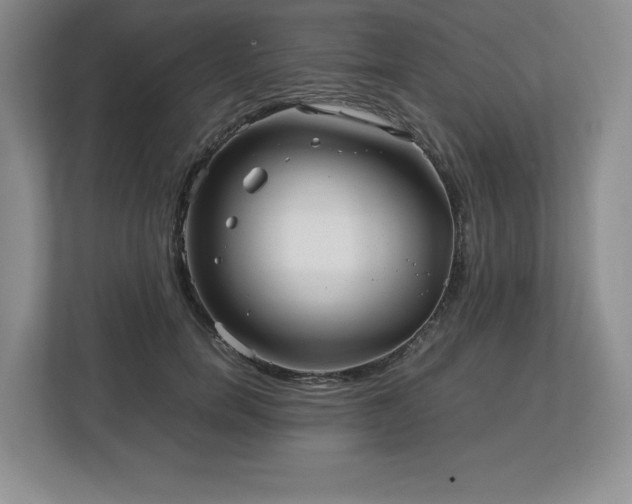 X0000113070750200909041057