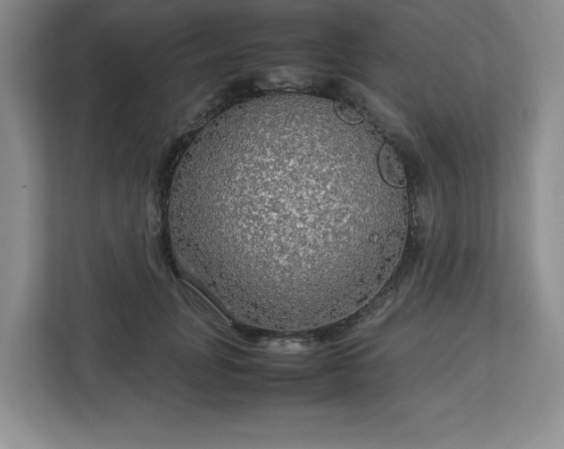 X0000113070751200909041057