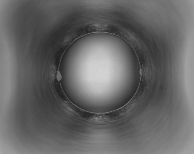 X0000113070752200909041057