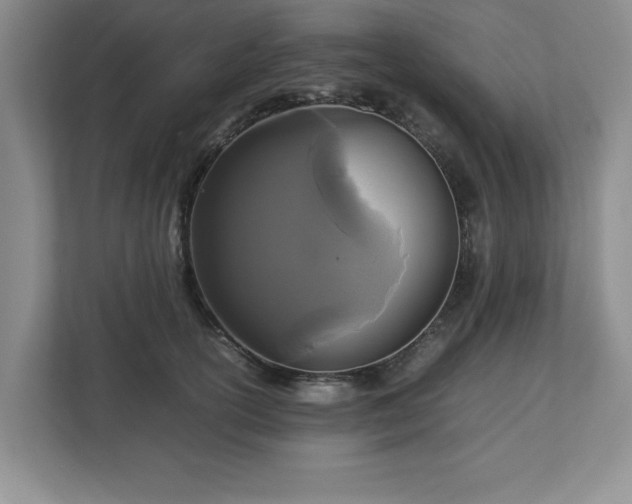 X0000113070754200909041057