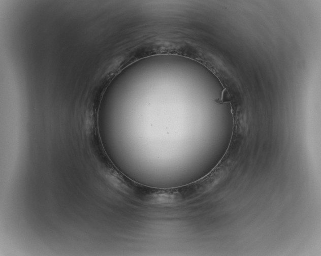 X0000113070756200909041057