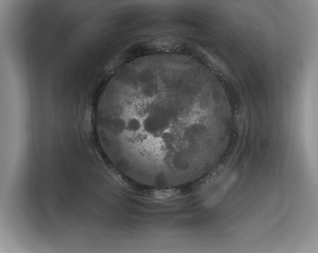 X0000113070757200909041057