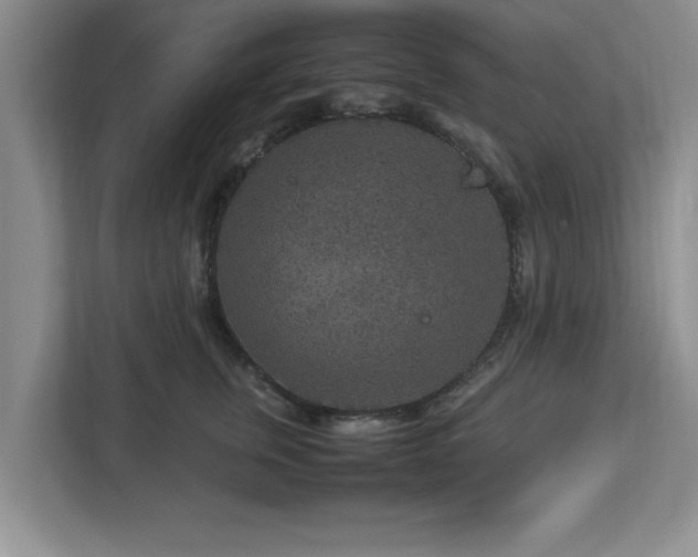 X0000113070759200909041057