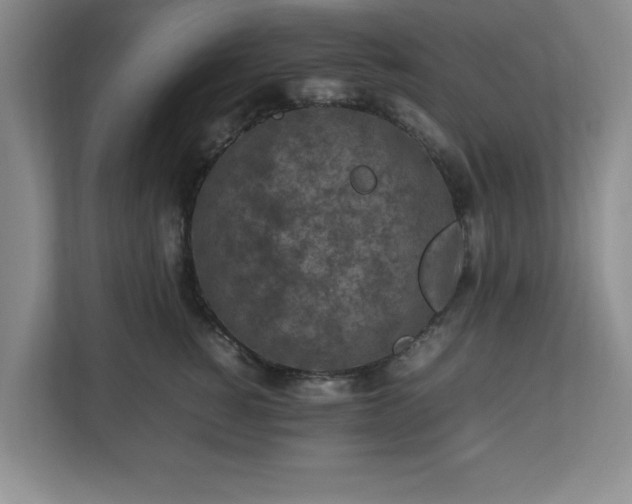 X0000113070760200909041057