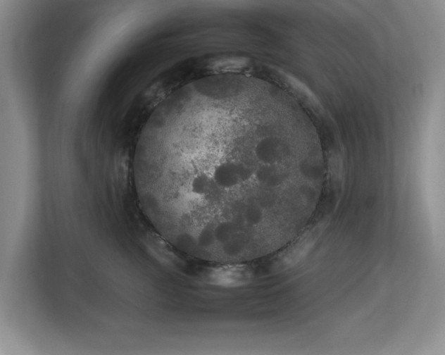 X0000113070761200909041057