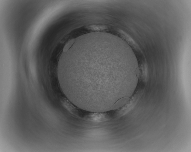 X0000113070762200909041058