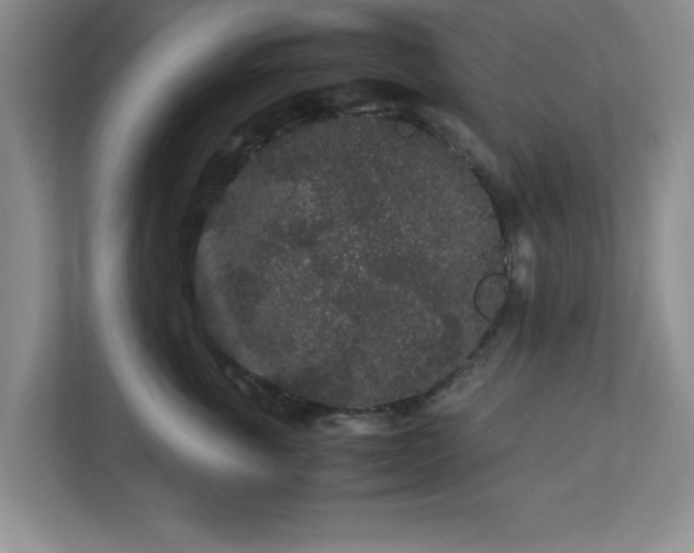 X0000113070763200909041058