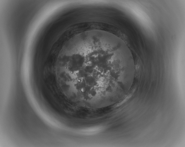 X0000113070765200909041058