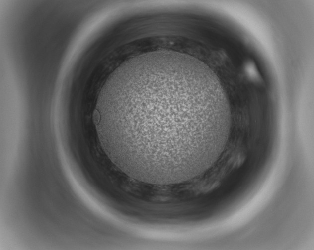 X0000113070766200909041058