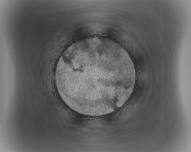 X0000113070769200909041057