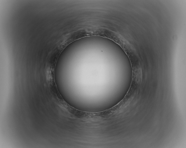 X0000113070770200909041057