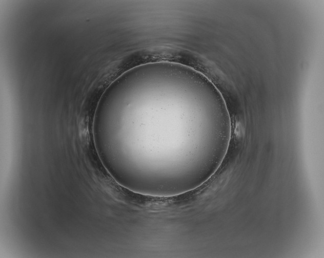 X0000113070771200909041057