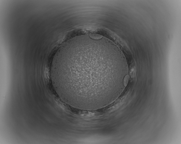 X0000113070772200909041057