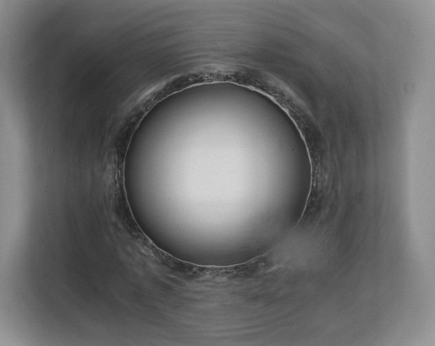 X0000113070773200909041057