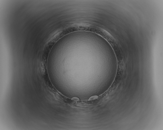 X0000113070774200909041057