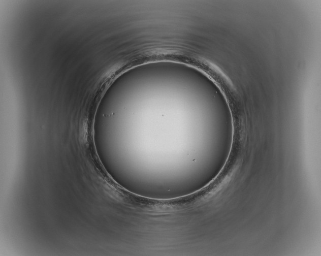 X0000113070777200909041057