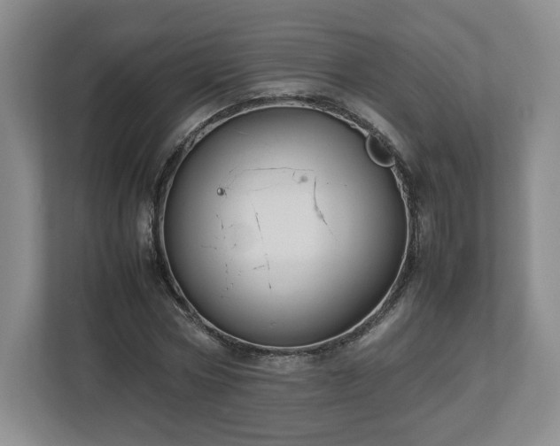 X0000113070778200909041057