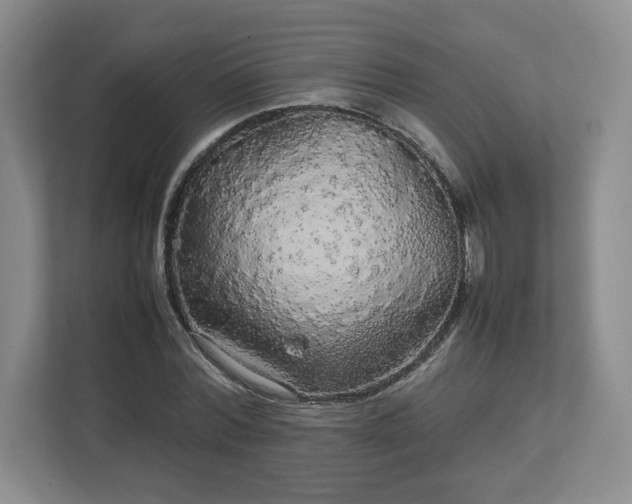 X0000113070780200909041057