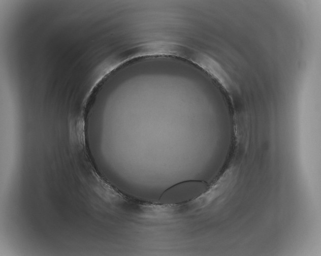 X0000113070781200909041057