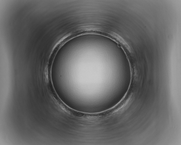 X0000113070782200909041057