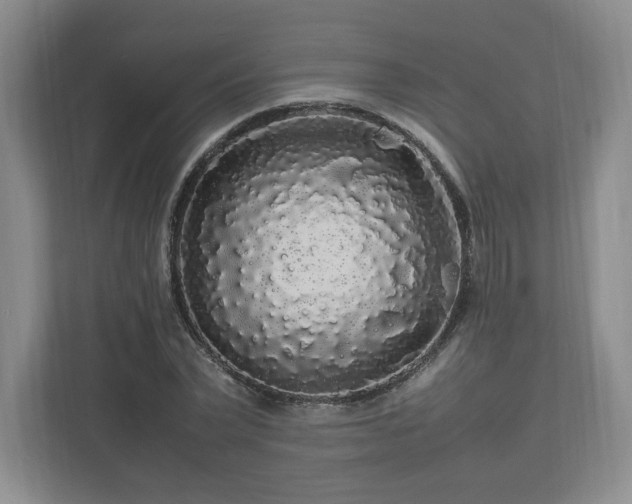 X0000113070783200909041057