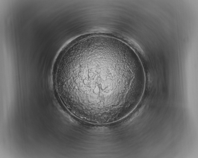 X0000113070784200909041057