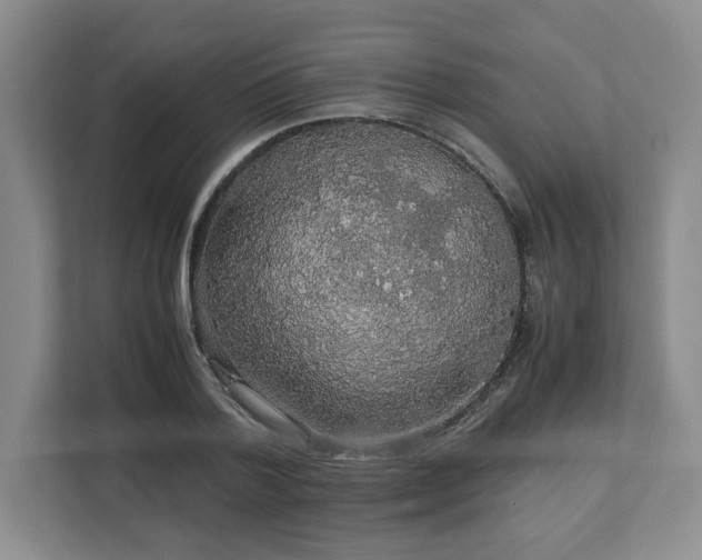 X0000113070788200909041057