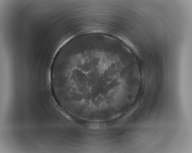 X0000113070790200909041057