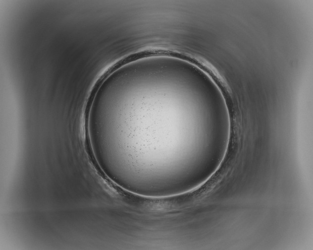 X0000113070791200909041057