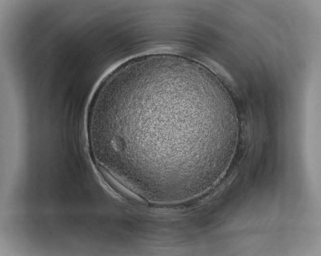 X0000113070792200909041057