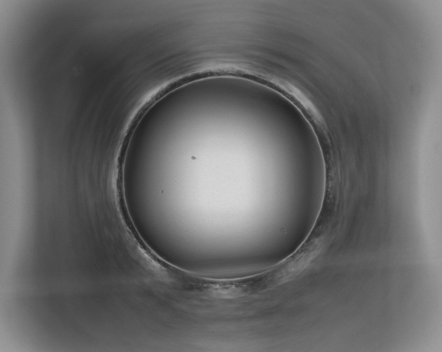 X0000113070799200909041057