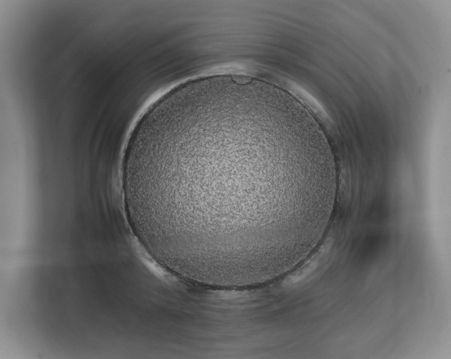 X0000113070800200909041057