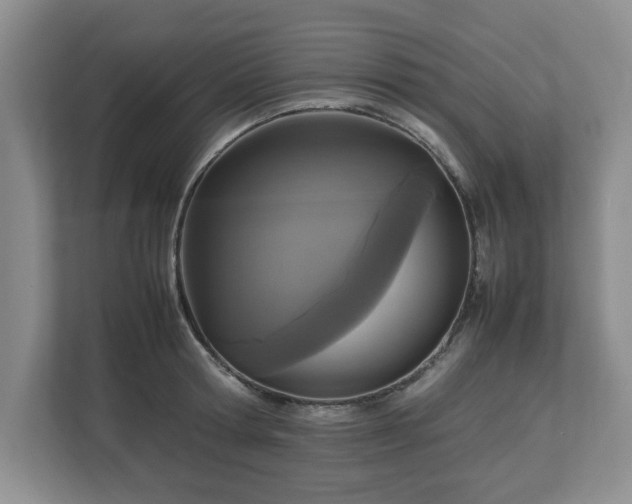 X0000113070802200909041057