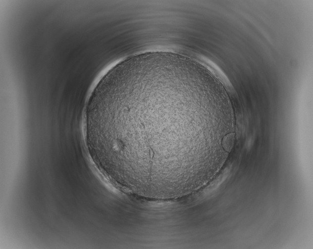 X0000113070804200909041057