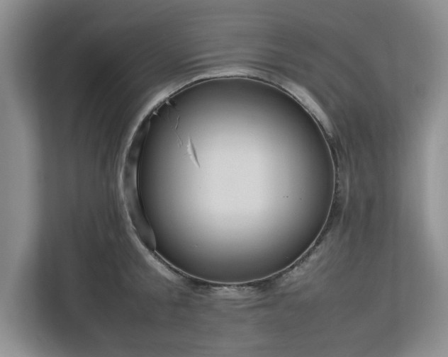 X0000113070805200909041056