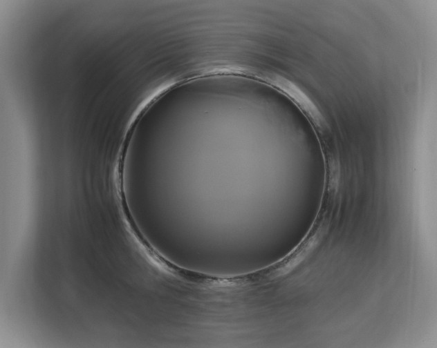 X0000113070806200909041056