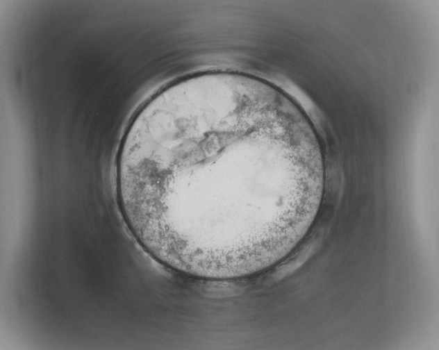 X0000113070807200909041056