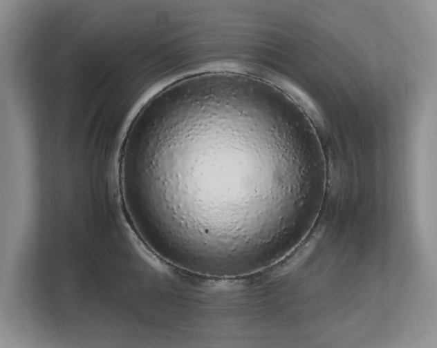 X0000113070808200909041056