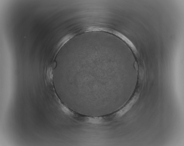 X0000113070809200909041056