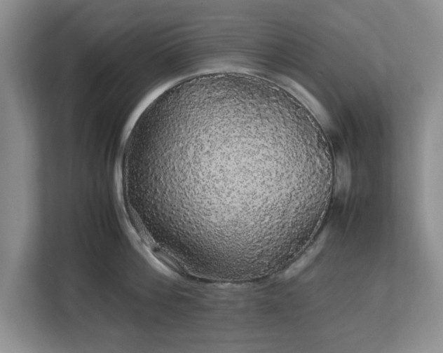 X0000113070812200909041056