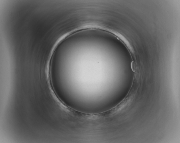 X0000113070815200909041056